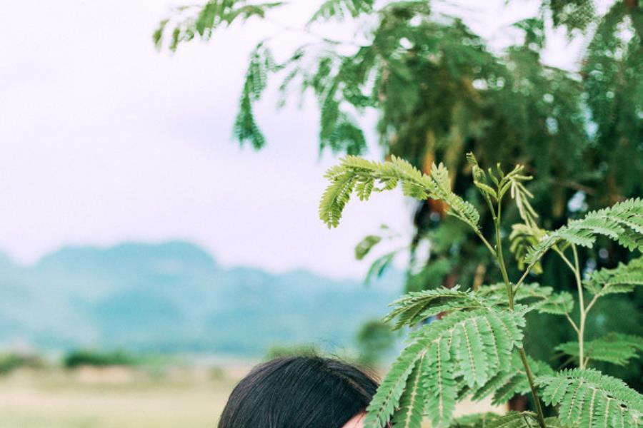 淄博向导伴游学生东欧贝芹